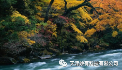 2345截图20231115162506.png 图片