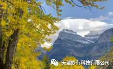 2345截图20231115162547.png 图片