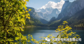 2345截图20231212153033.png 图片